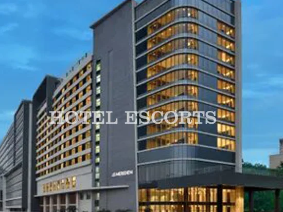 Hotel Silicon Ville Escorts